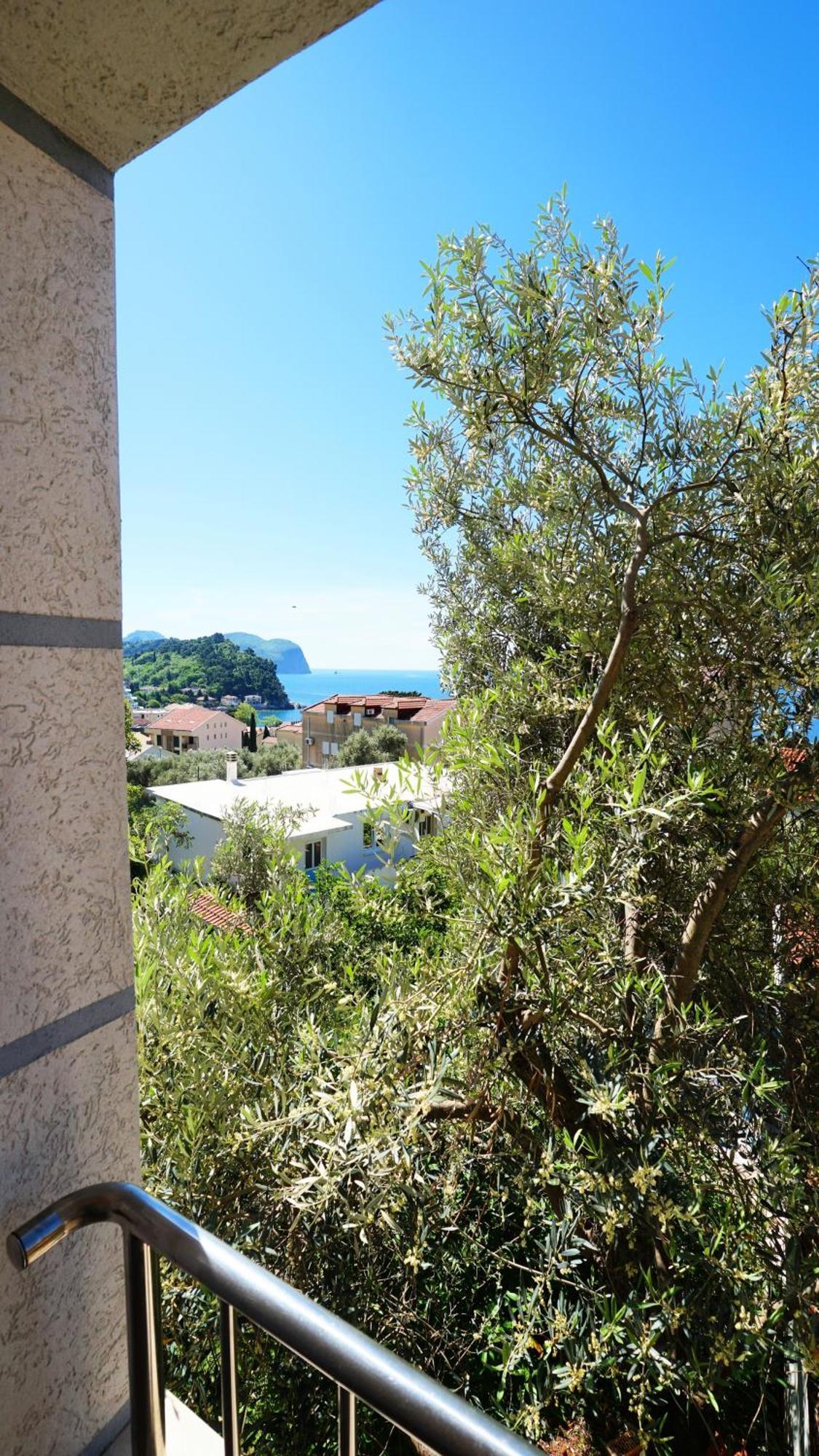 Medin Apartments Bluvista Petrovac Екстериор снимка
